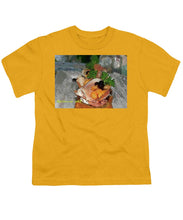 Load image into Gallery viewer, Amuse - Youth T-Shirt