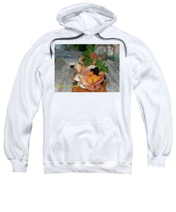 Amuse - Sweatshirt