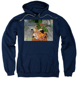 Amuse - Sweatshirt