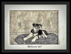 Little Shepherd - Framed Print