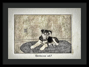 Little Shepherd - Framed Print