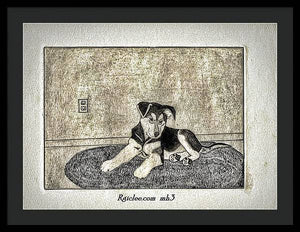 Little Shepherd - Framed Print