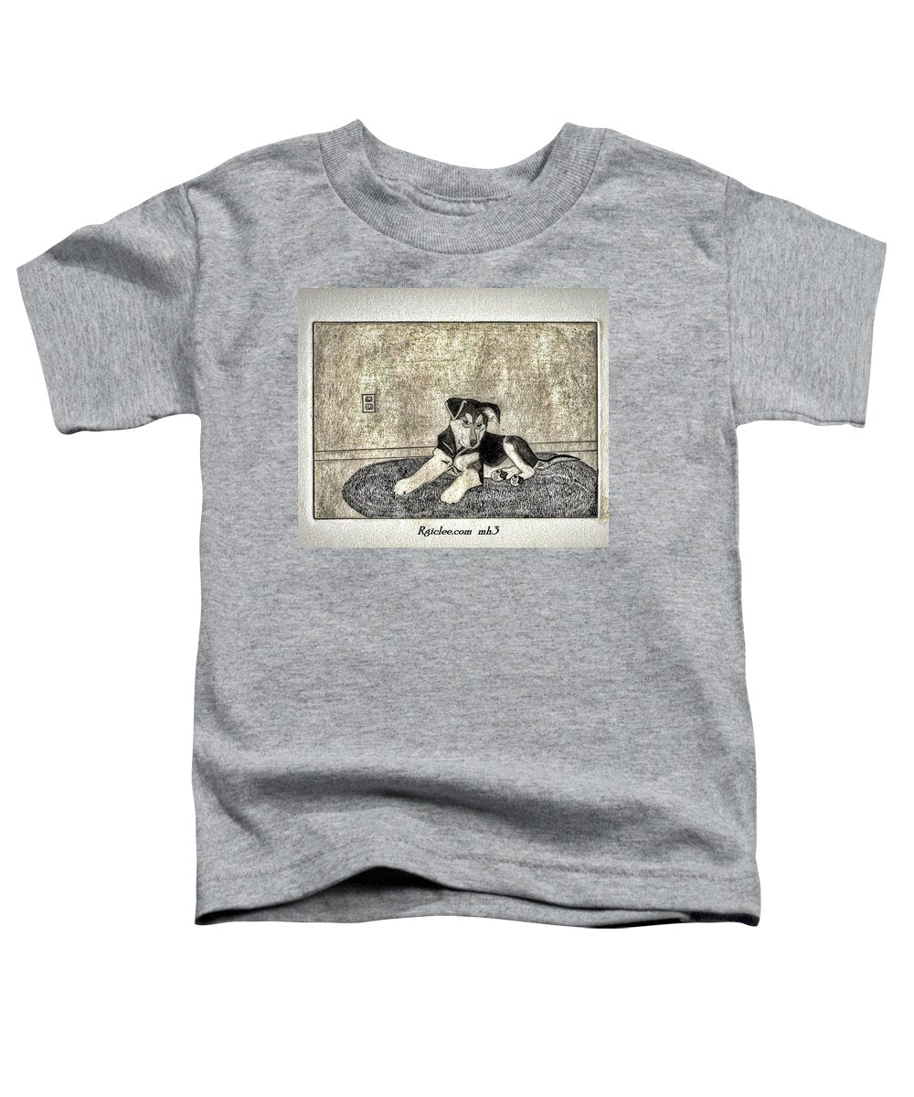 Little Shepherd - Toddler T-Shirt