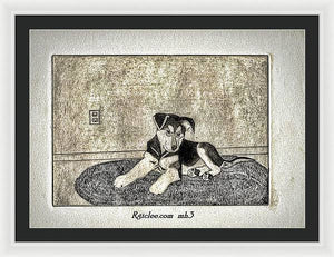 Little Shepherd - Framed Print