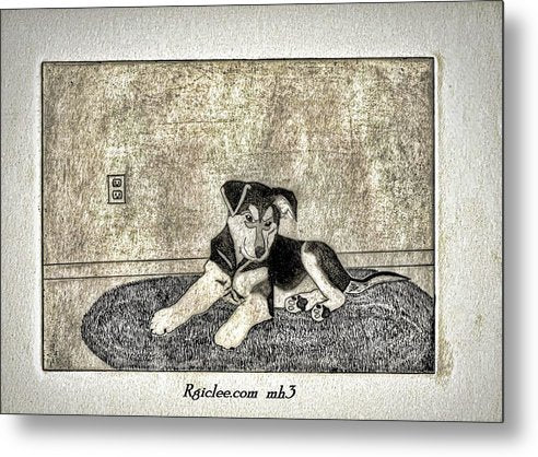 Little Shepherd - Metal Print